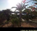 Boudry Andy - Rym Beach Djerba - Tunisie -026